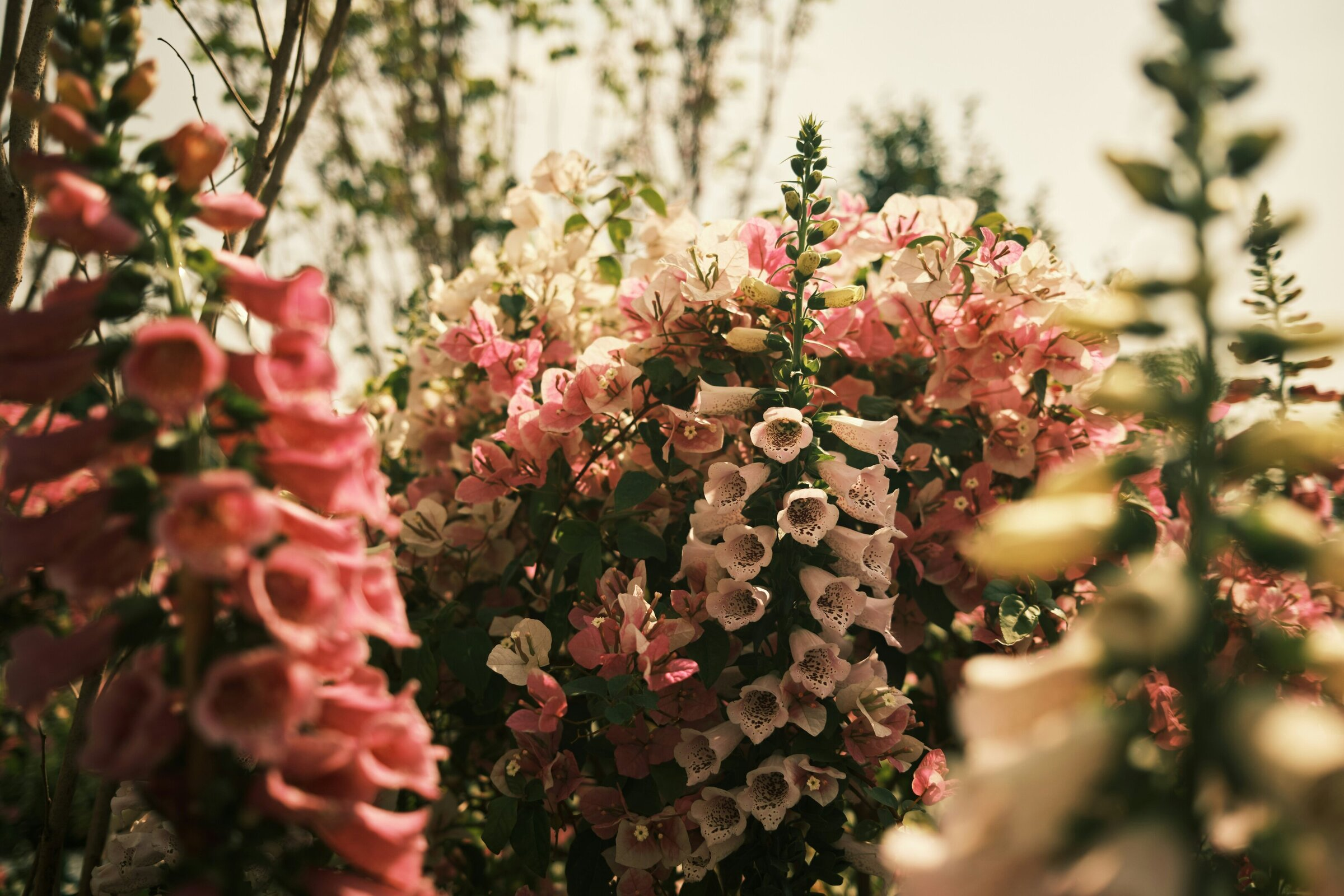 A Quiet Sanctuary of Return